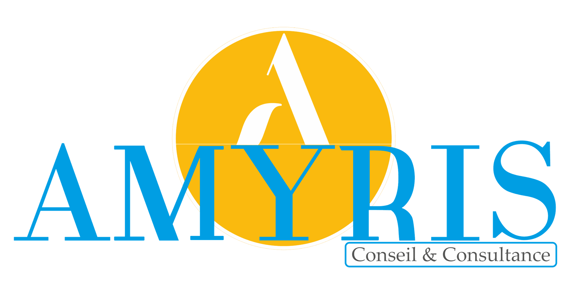 amyrisconseilsconsultance.com